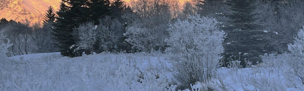 Tempus ullamcorper Tempus ullamcorper